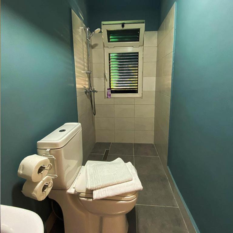 Agroturizem Hotel Vila Franceze Koman Екстериор снимка