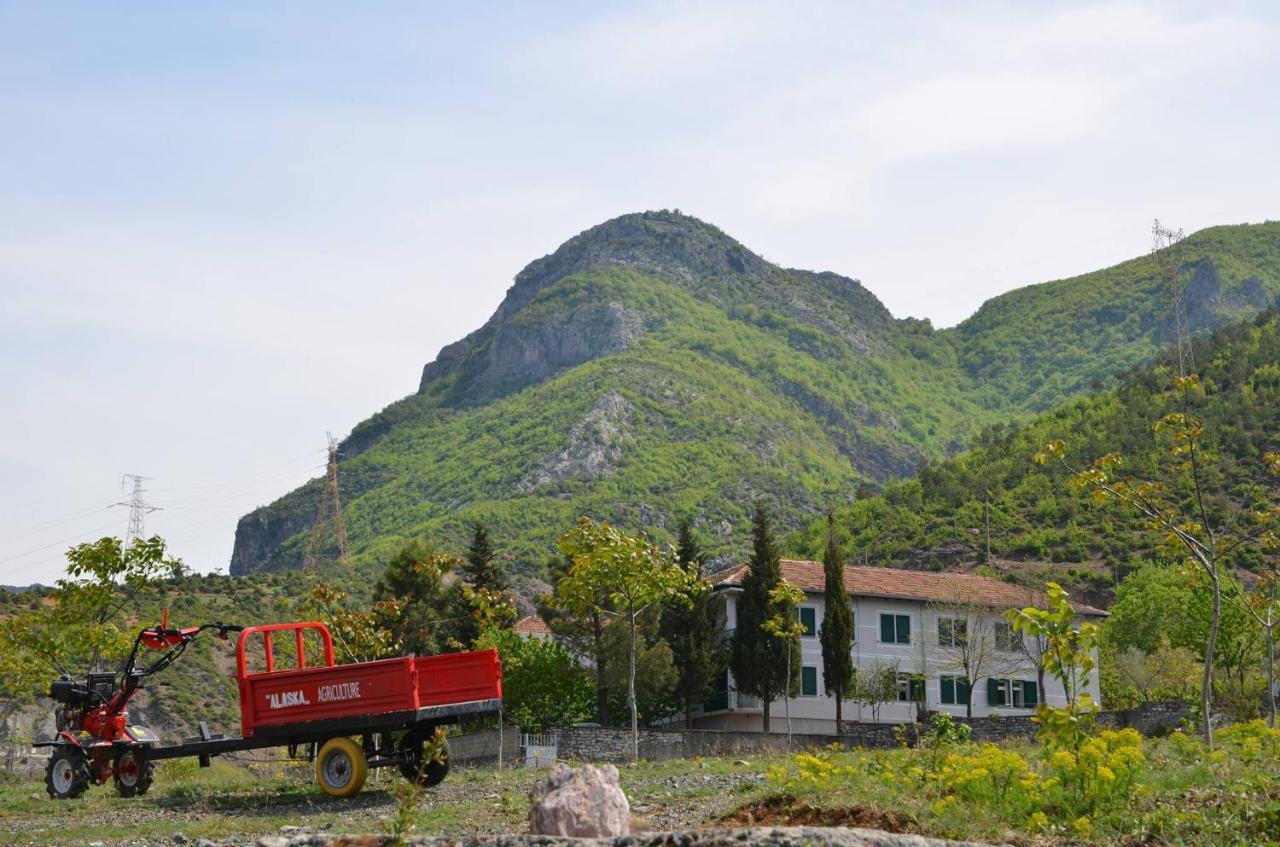 Agroturizem Hotel Vila Franceze Koman Екстериор снимка