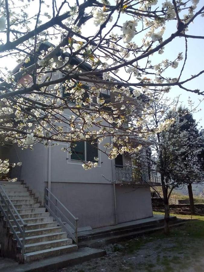 Agroturizem Hotel Vila Franceze Koman Екстериор снимка