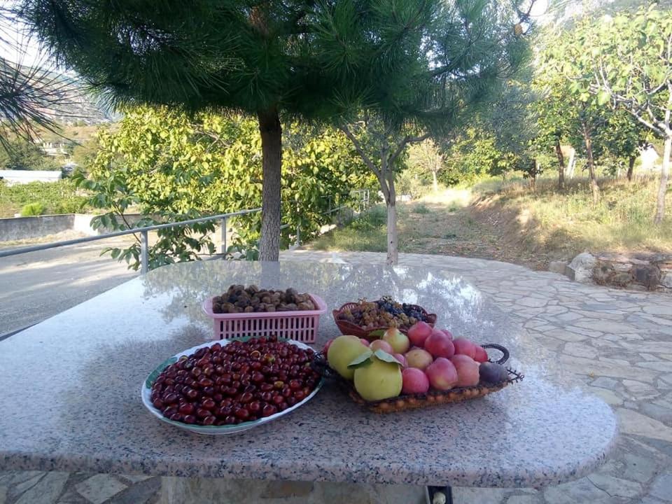 Agroturizem Hotel Vila Franceze Koman Екстериор снимка