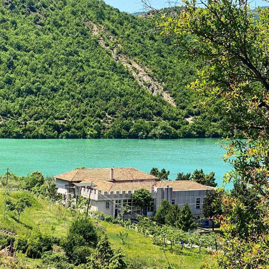 Agroturizem Hotel Vila Franceze Koman Екстериор снимка